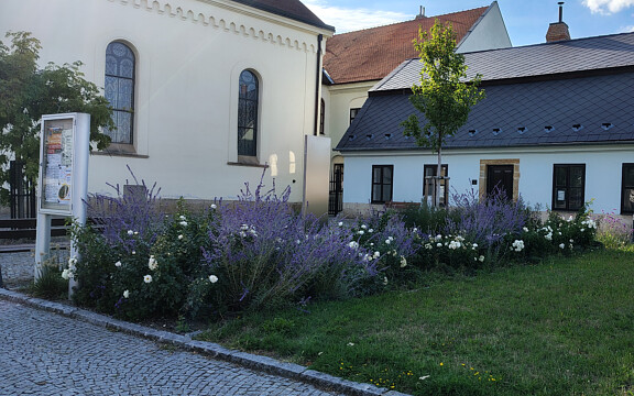 Město, které kvete