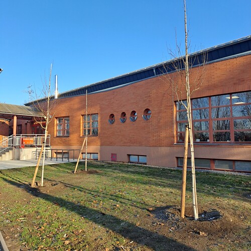 Nové stromy