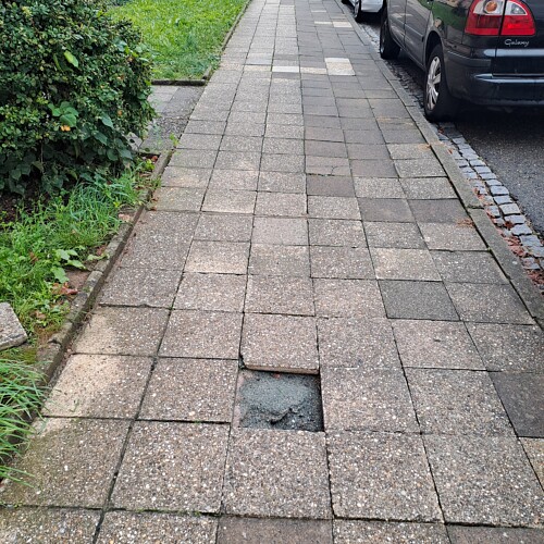 Chodníky sídliště u Bažantnice