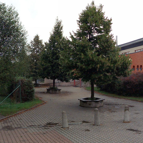 Hala před