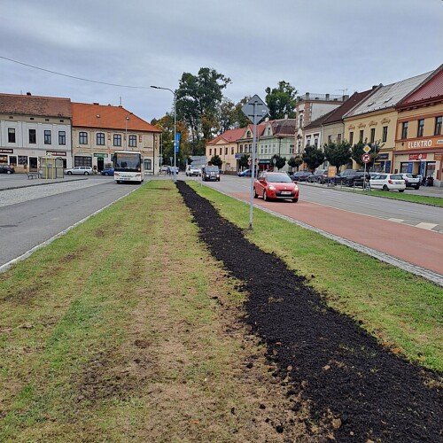 Rozkvetlé náměstí výsadba