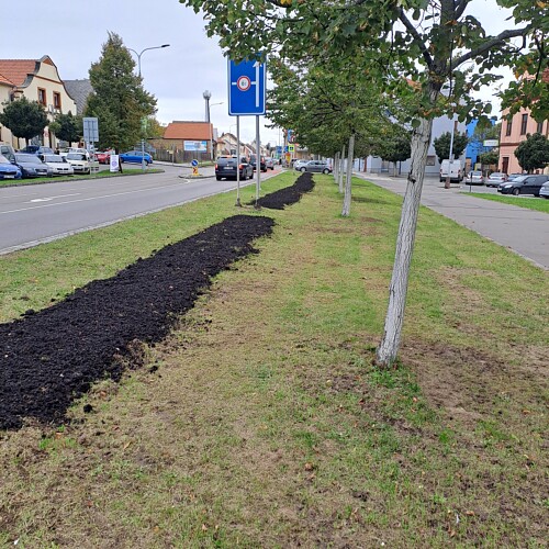 Rozkvetlé náměstí výsadba