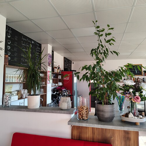 Hala Cafe